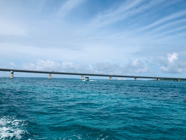 �_�C�r���OCRAB