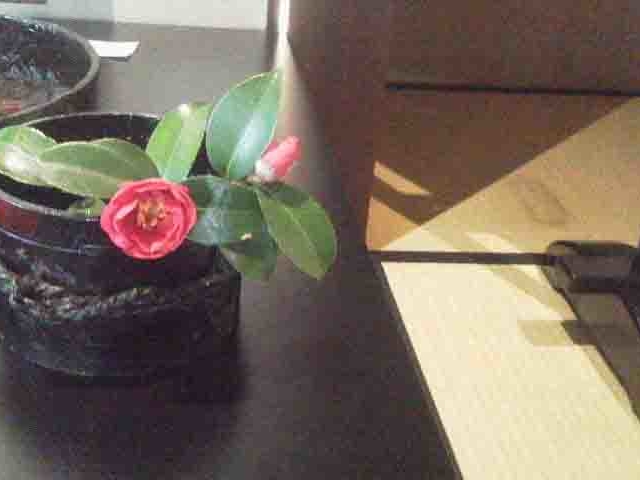 �����Ɏ���h��d�˂��Ԋ�_�n��H�[�@N