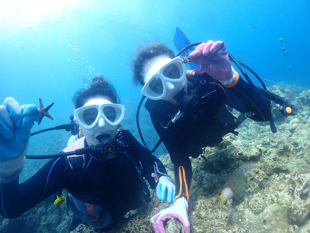 �����q�g�f���������恚_Divingshop Ryo