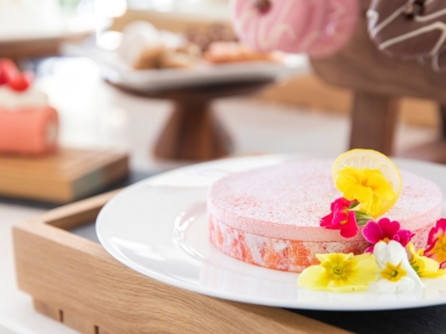 THE BASICS FUKUOKA WHY NOT�i���C�E�m�b�g�j