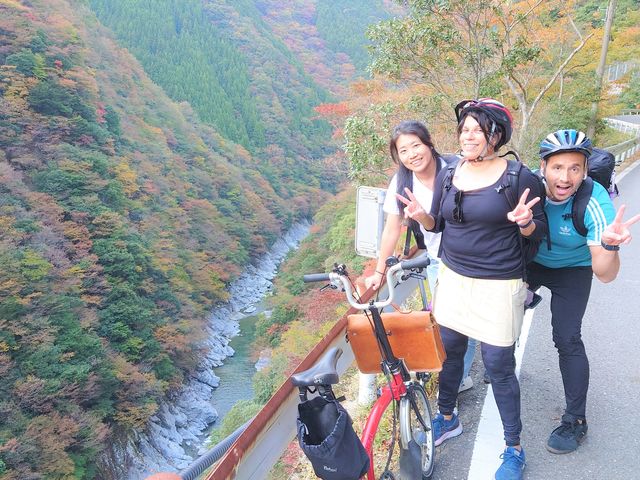 �������AWA-RE