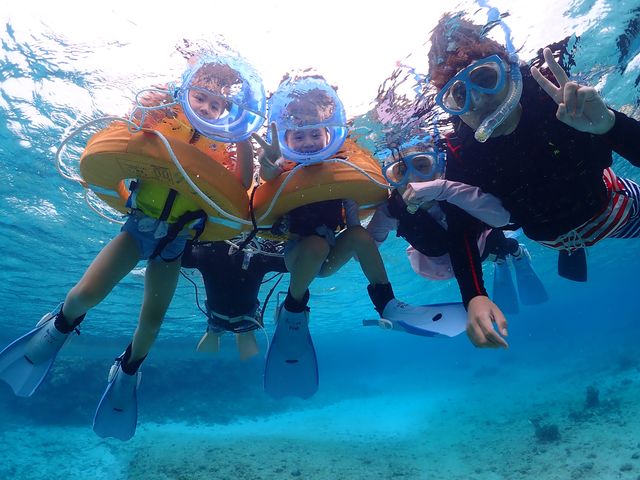 BalloonFish�{�Ó�