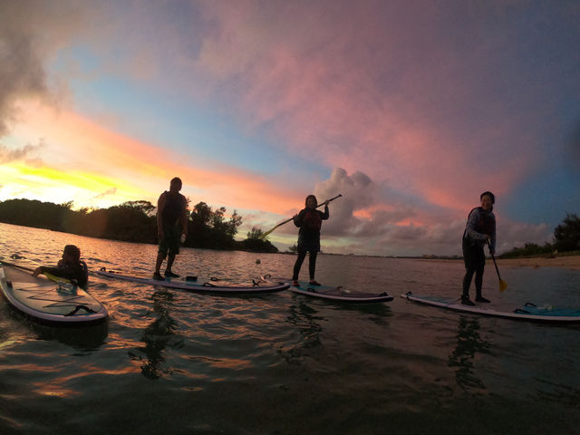 �V�[�J���b�N&SUP ���� island Wish