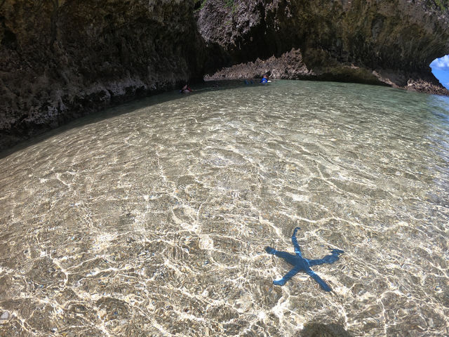 �V�[�J���b�N&SUP ���� island Wish