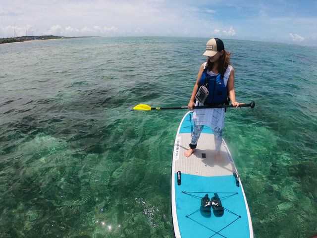 �V�[�J���b�N&SUP ���� island Wish