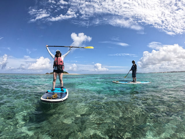 �V�[�J���b�N&SUP ���� island Wish