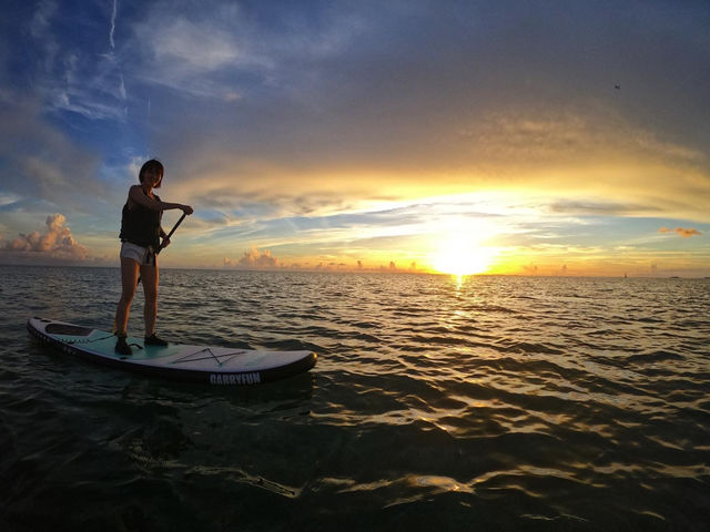 �V�[�J���b�N&SUP ���� island Wish