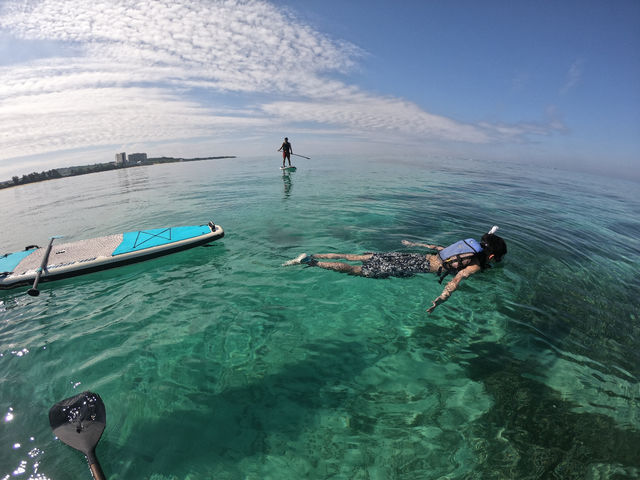 �V�[�J���b�N&SUP ���� island Wish