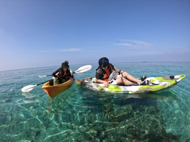 �V�[�J���b�N&SUP ���� island Wish