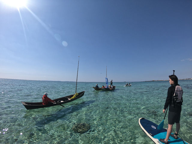 �V�[�J���b�N&SUP ���� island Wish