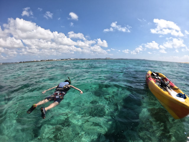 �V�[�J���b�N&SUP ���� island Wish