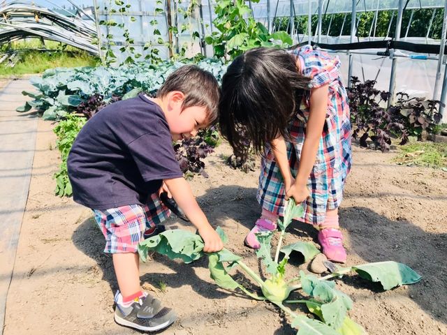 �Ƃꂽ�����ӂ����_��