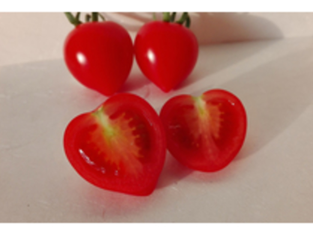 �n�[�g�̌`�������́u���x���[�v���̔�_�H�c�_��