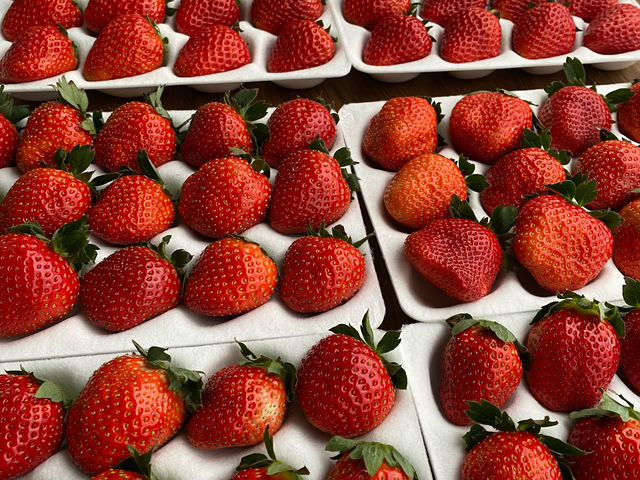 ������i�x��䕉�