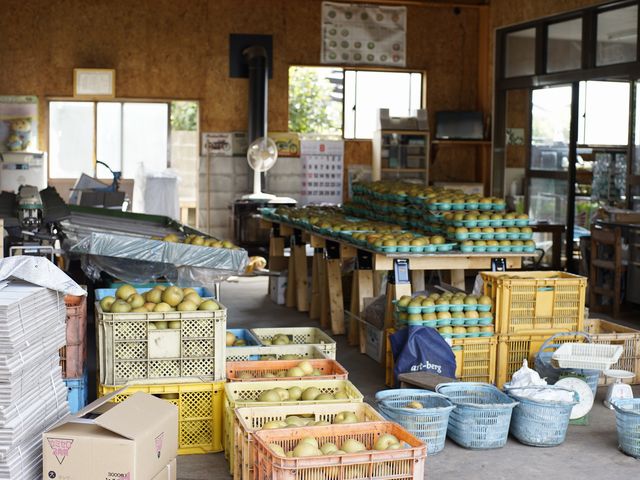 �Ă̒����̗l�q�i�Ԃǂ��Ɨ����͍s���Ă���܂���j_�c����