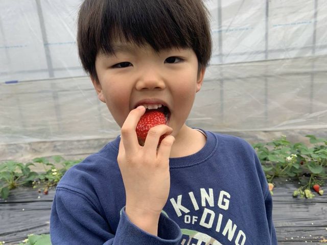 ���炢�_��