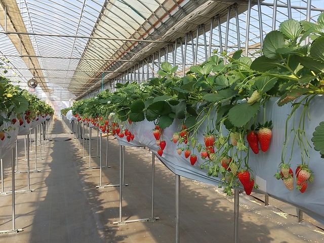 �R���R���������t�@�[��