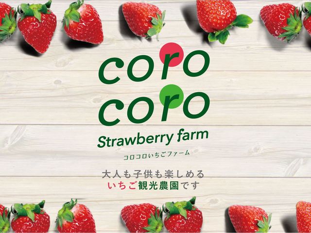 �R���R���������t�@�[��