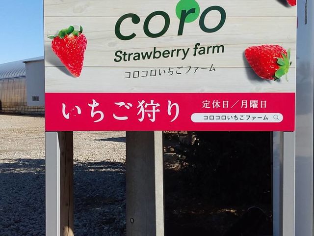 �R���R���������t�@�[��