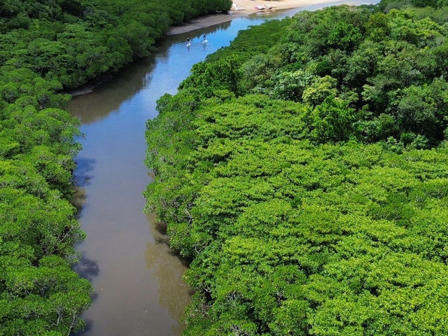 �}���O���[�usup�h���[���ł̎B�e_�Ί_�� �C�c�A�[