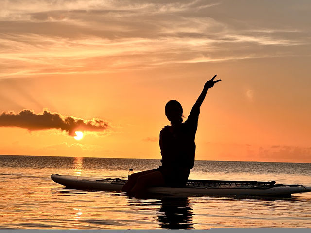 �T���Z�b�gsup�f���ʐ^�I_�Ί_�� �C�c�A�[