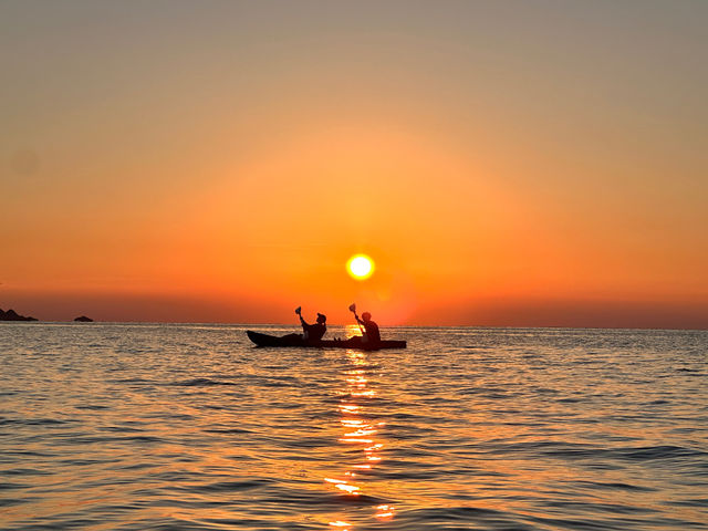 �T���Z�b�g�J���b�N�̌�_�Ί_�� �C�c�A�[