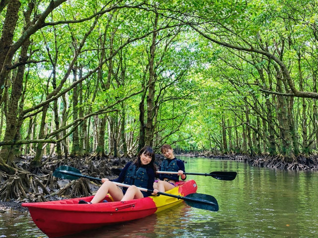 �}���O���[�u�J���b�N�̌����㗤�T��_�Ί_�� �C�c�A�[