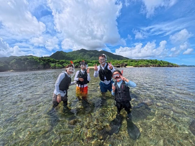 ���b�c�S�[�I�V���m�[�P���I_�Ί_�� �C�c�A�[