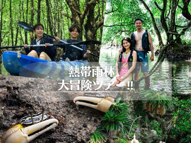 �Ί_�� �C�c�A�[�̎ʐ^1