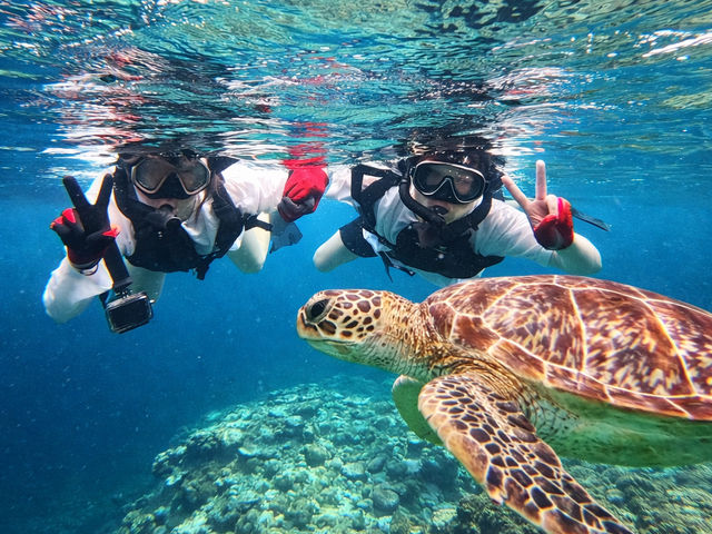 �̓��A�V���m�[�P���E�~�K��_�Ί_�� �C�c�A�[