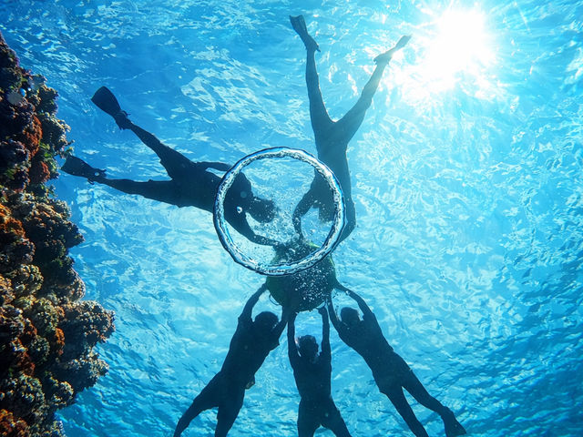 �V���m�[�P���̌�_�Ί_�� �C�c�A�[