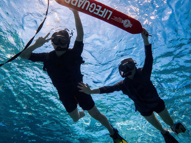 �V���m�[�P���̌�_�Ί_�� �C�c�A�[