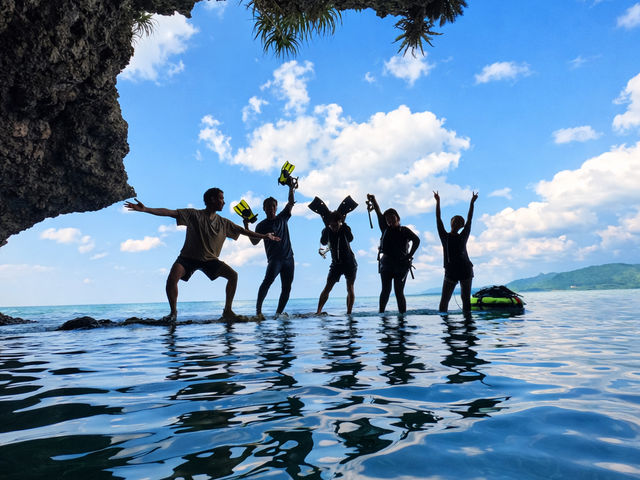 �̓��A�L�O�B�e_�Ί_�� �C�c�A�[