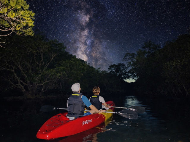 ����i�C�g�J���b�N_�Ί_�� �C�c�A�[