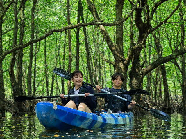 �V�R�L�O���}���O���[�u�J���b�N_�Ί_�� �C�c�A�[