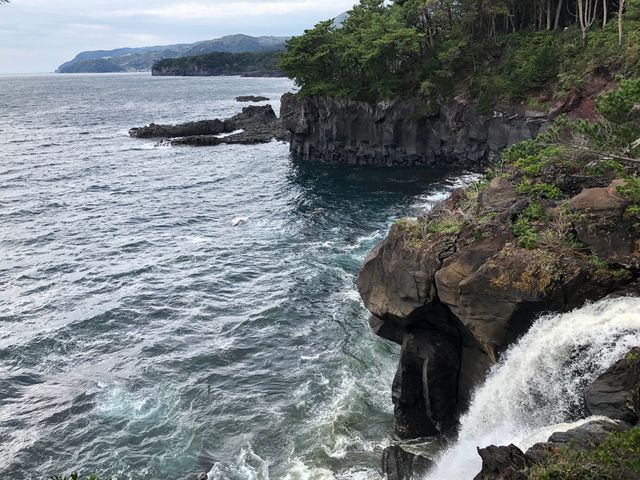 �J�T�S���Ɍ���E�s�ȊC��_�ɓ����R���j�ē��l��(��P��厺�R����j