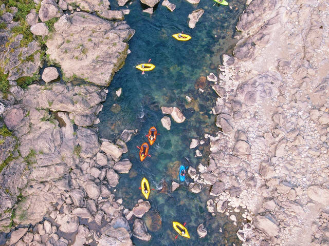 Niyodo Adventure �h���[������̐m����B�����Ƃ��Ă�����ł��܂��ˁI_Niyodo Adventure