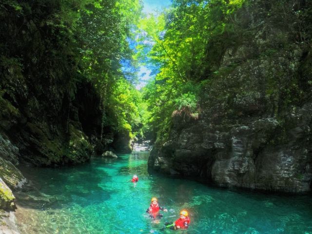 �m���u���[�ɕ�����ł܂�����_Niyodo Adventure