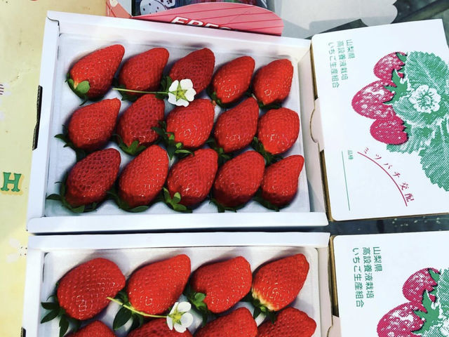 ���n���������݂₰
�嗱���ϔ���
300g�p�b�N���Ȃǔ̔����Ă܂��I_�����t�B�[���Y