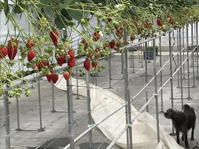 �q���Ǘ��ׁ̈A�m�[���[�h�̃��������͂��K�̉B���u�I���c�v�������p���������܂��I_�����t�B�[���Y