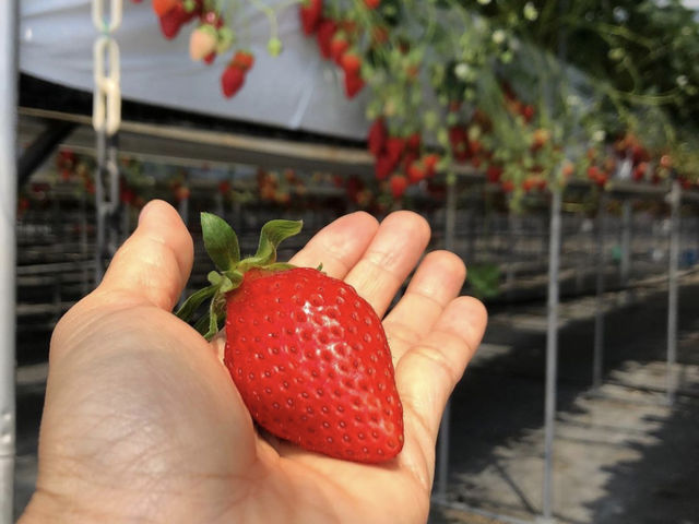 �Â����n�������H�ו���I_�����t�B�[���Y