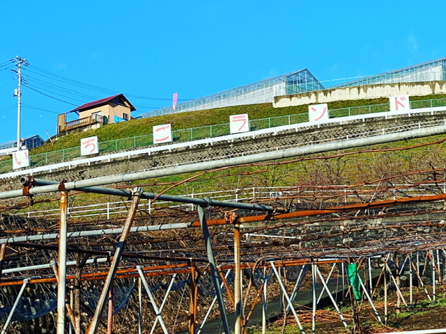 �����������h�g��
1���E2���n�E�X�S��
�����t�B�[���Y�ł��I_�����t�B�[���Y