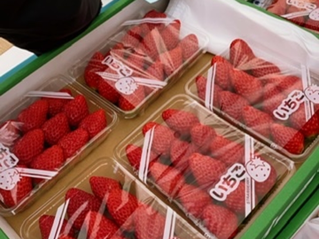 ���݂₰�p�b�N�������ł��I_�����t�B�[���Y