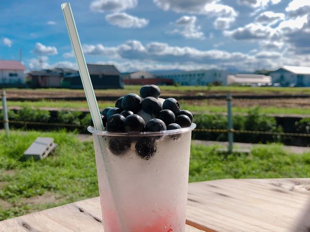 ���m�u���[�x���[�_��