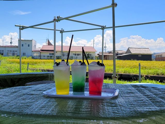 ���m�u���[�x���[�_��