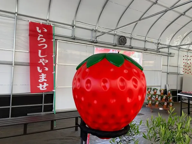 やすださん家のスイーツ園の最新写真