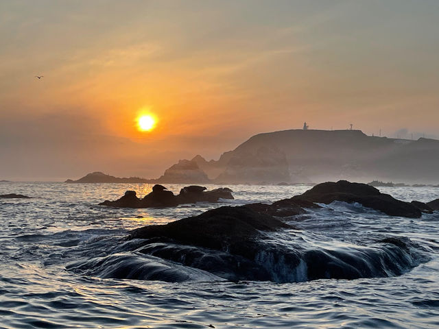 �R���u�{�[�g�N���[�Y