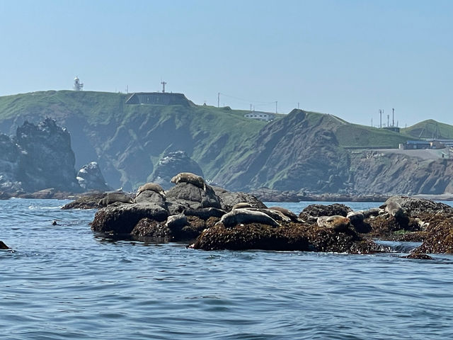 �R���u�{�[�g�N���[�Y