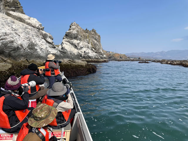 �R���u�{�[�g�N���[�Y