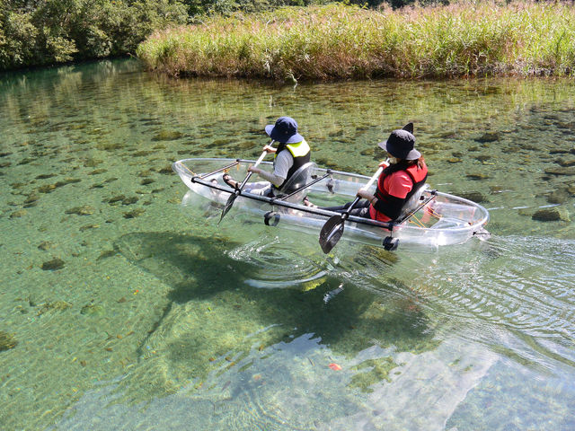 �����ی����̓����x_�m����A�E�g�h�A�Z���^�[